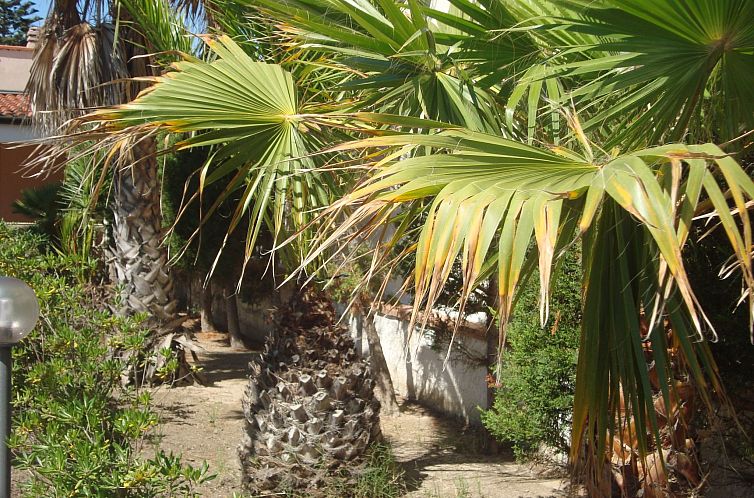 Vakantiehuis Villa Degli Angeli mit Blick auf das Meer
