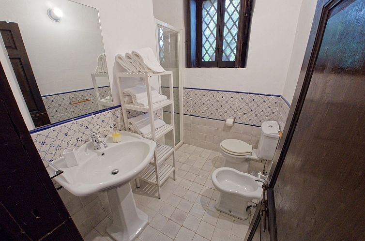 Vakantiehuis mit Pool Infinity