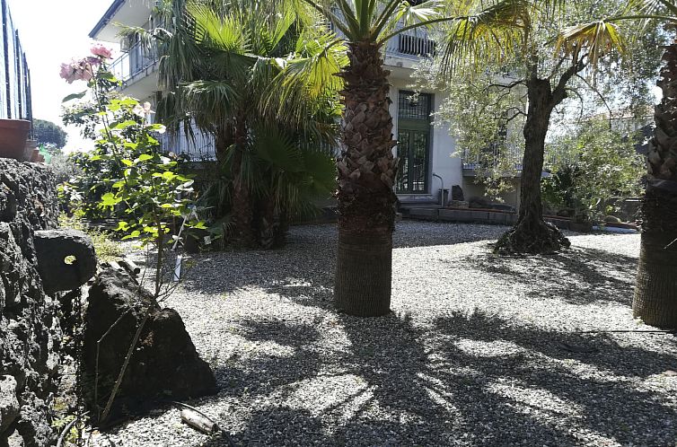 Appartement Le Palme in linera