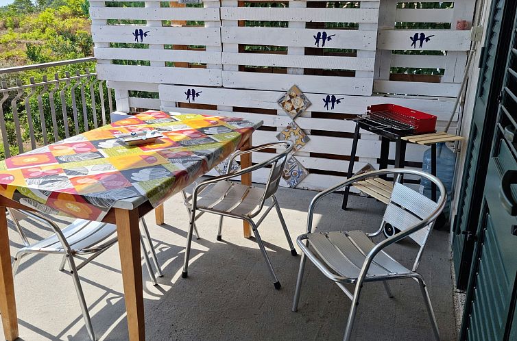 Appartement Le Palme in linera