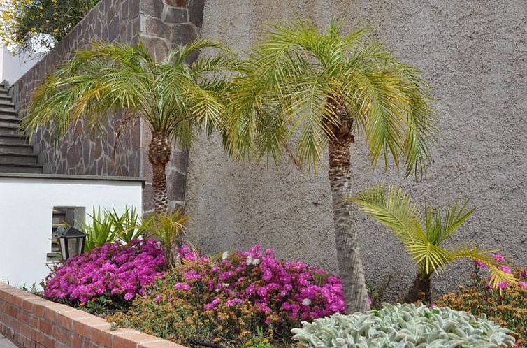 Appartement Wohnung 'Glicine ab 231' mit Terrasse