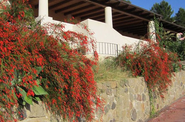 Appartement Wohnung 'Ginestra' mit Terrasse