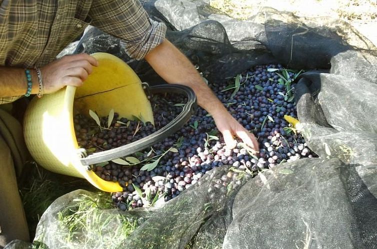 Vakantiehuis Salto del Corvo