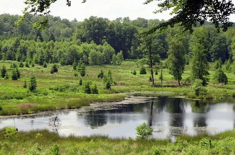 Vakantiehuisje in Masbourg