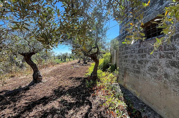 Appartement in Castelvetrano