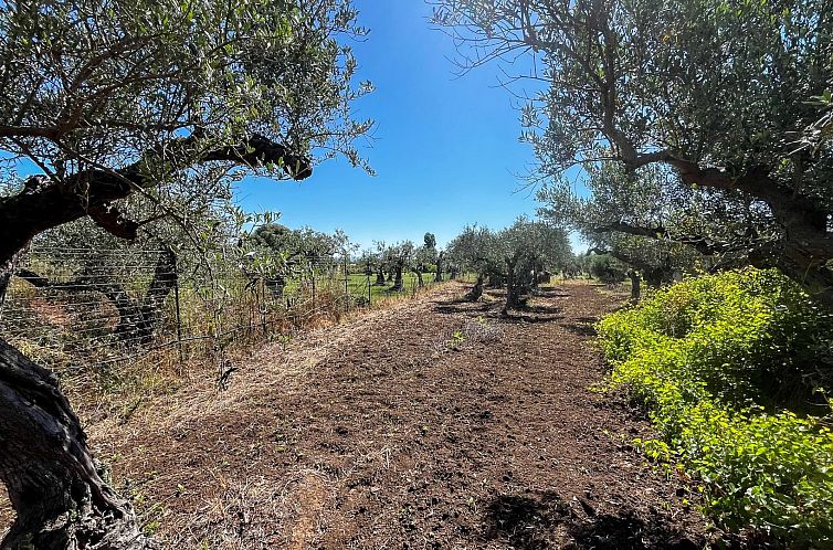 Appartement in Castelvetrano