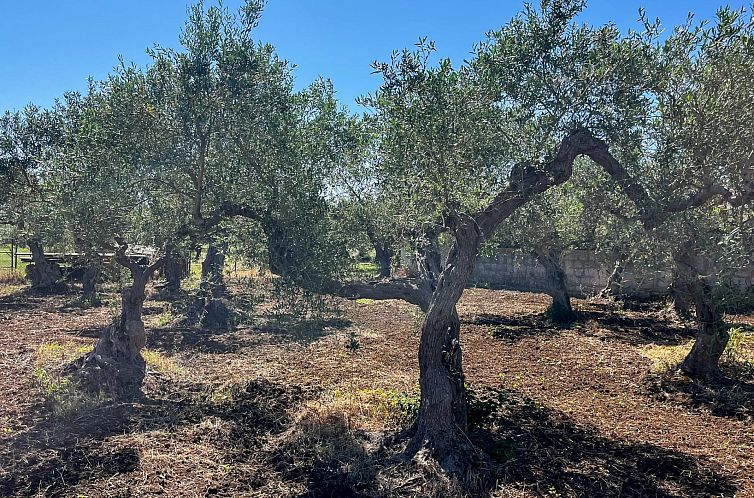 Appartement in Castelvetrano