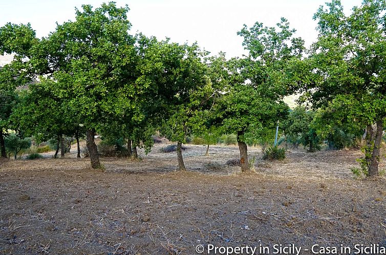 Kavel in Castelbuono