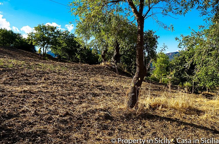 Kavel in Castelbuono