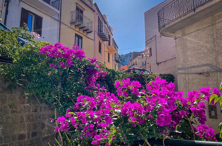 Verblijf 09431306 - Vakantiewoning Sicilië - Vrijstaande woning in Gratteri