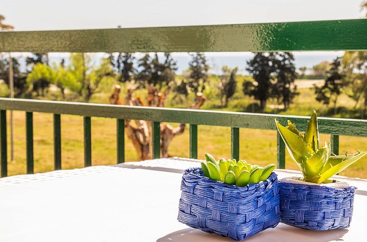 Guest house 09437712 - Apartment Sicily - Appartement Studio mit Korallenblick in Chianchitta-Pallio