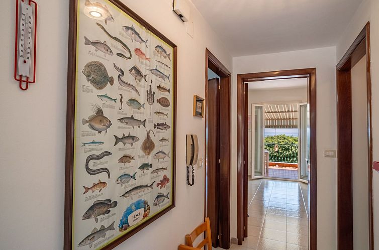 Appartement Appartement am Meer 'Blick aufs Meer