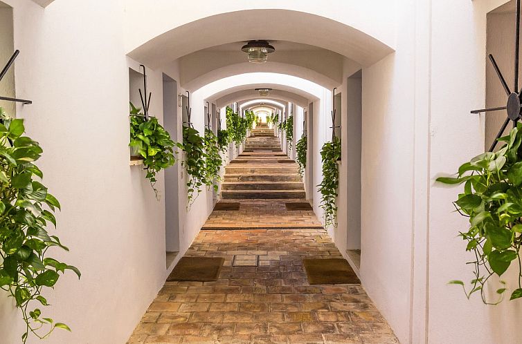 Appartement Sea Life in Taormina