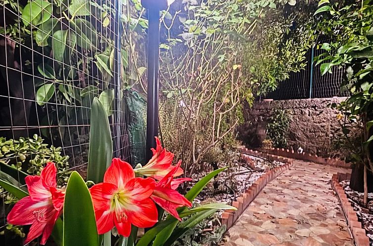 Vakantiehuis 'The Garden