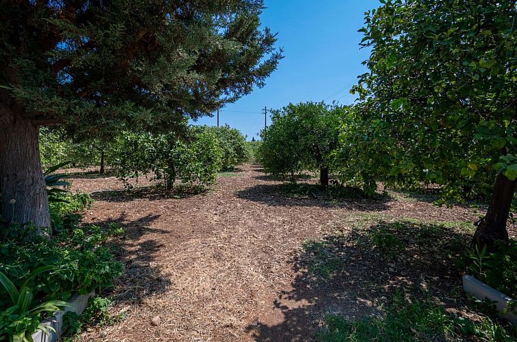 Vakantiehuis Der Zitronenhain von Nonno Corrado