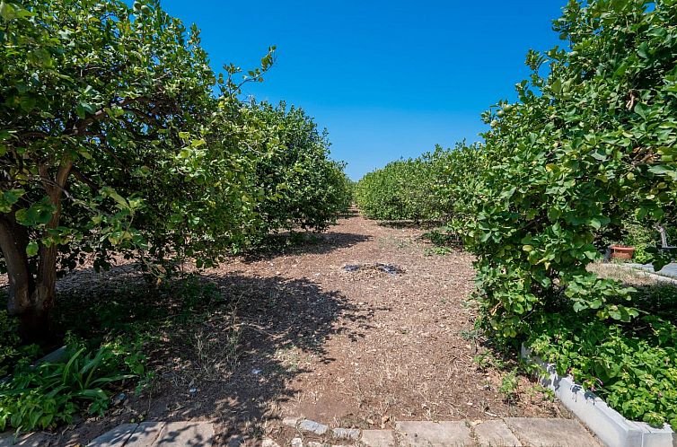 Vakantiehuis Der Zitronenhain von Nonno Corrado