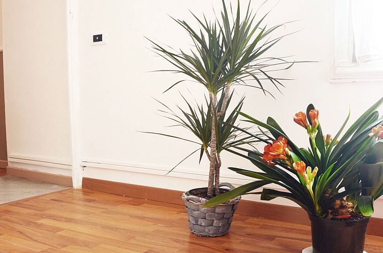 Vakantiehuis Gästezimmer für 2 Personen in Caltagirone, Si