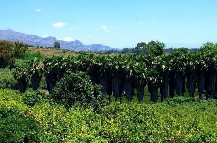 Appartement 'Fiumefreddo Oasis