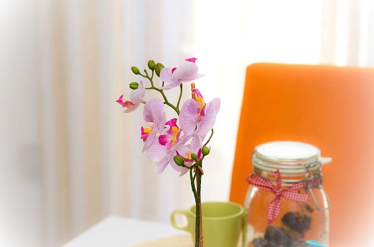 Appartement Ein-Zimmer-Wohnung 'Capo House' mit Balkon