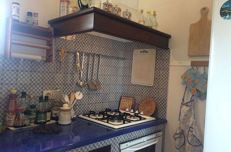 Appartement Wohnung in Jugendstilvilla