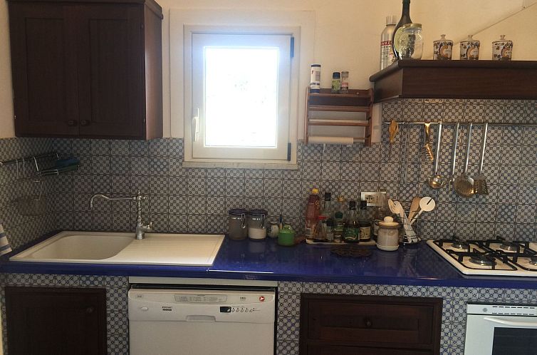 Appartement Wohnung in Jugendstilvilla