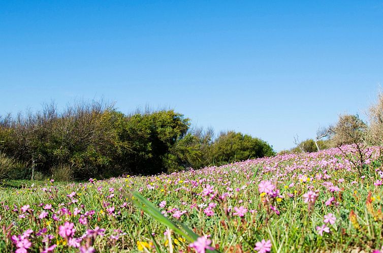 Appartement App 2 Studio-Wohnung 2 Plätze