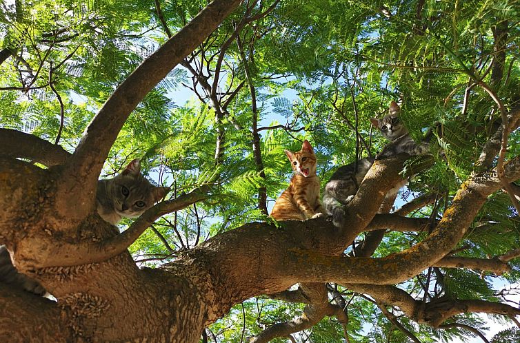 Appartement Wohnung 3 - Zwei-Zimmer-Wohnung
