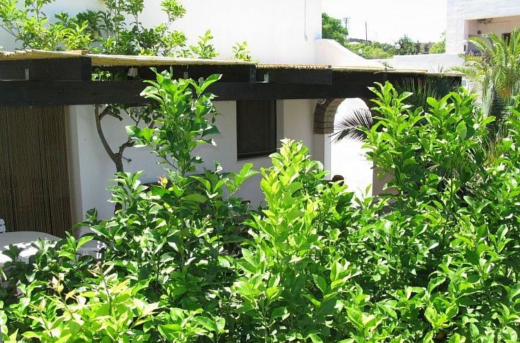 Appartement Wohnung 'Alba 8' mit Privatparkplatz