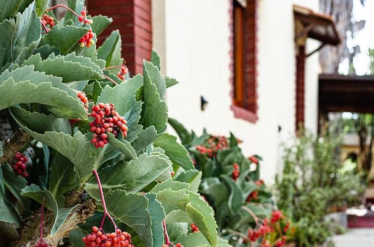 Appartement 'Villino Caterina