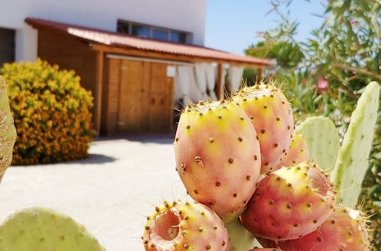 Appartement Villetta Bungalow