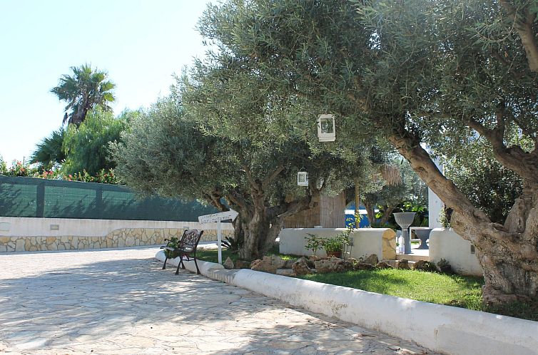 Appartement Ein-Zimmer-Wohnung