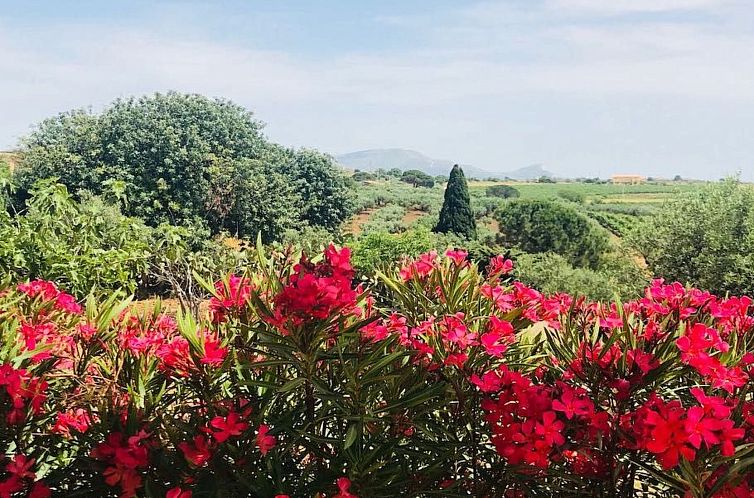 Appartement Graffeo-Häuser Haus der Rosen