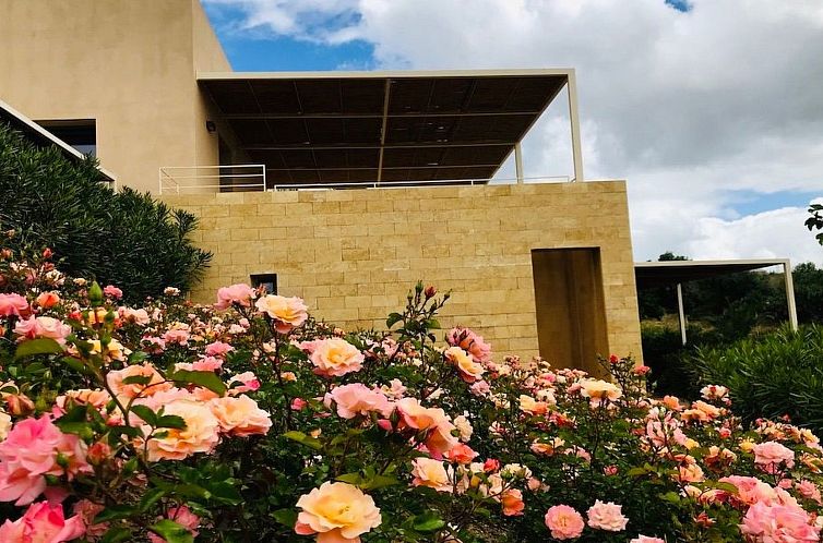 Appartement Graffeo-Häuser Haus der Rosen