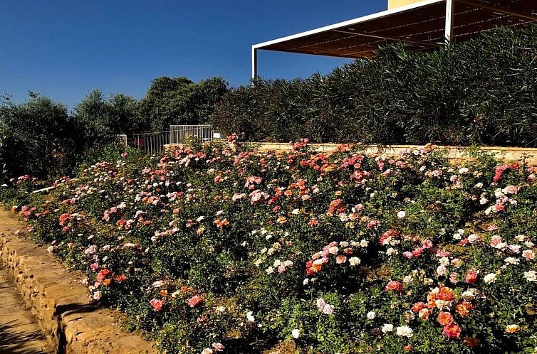Appartement Graffeo-Häuser Haus der Rosen