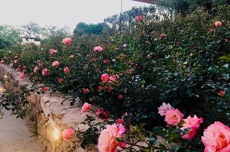 Appartement Graffeo-Häuser Haus der Rosen