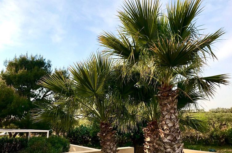 Appartement Haus der Palme in Menfi