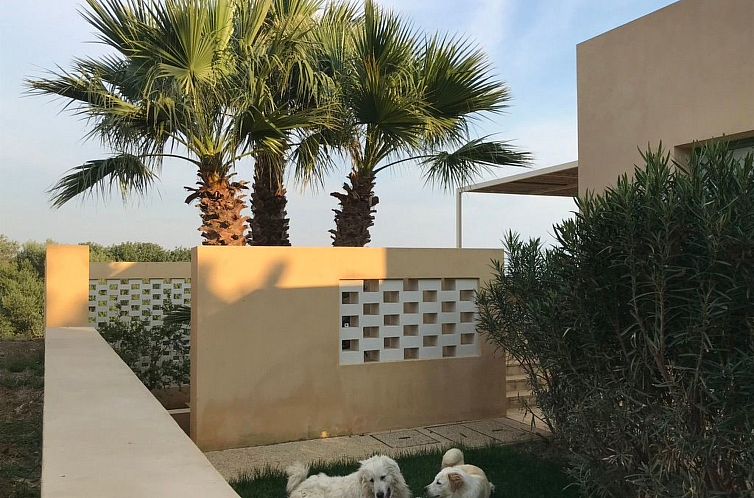 Appartement Haus der Palme in Menfi