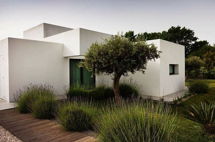 Vakantiehuis Mare e Dune