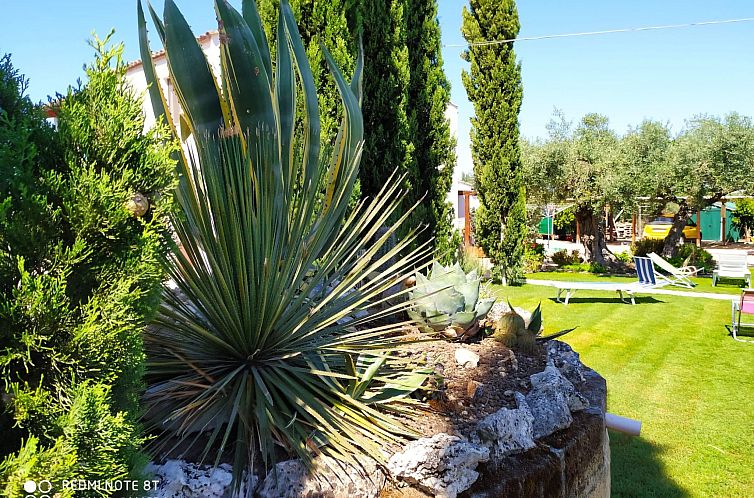 Vakantiehuis Ein-Zimmer-Wohnung 'Conte Luna