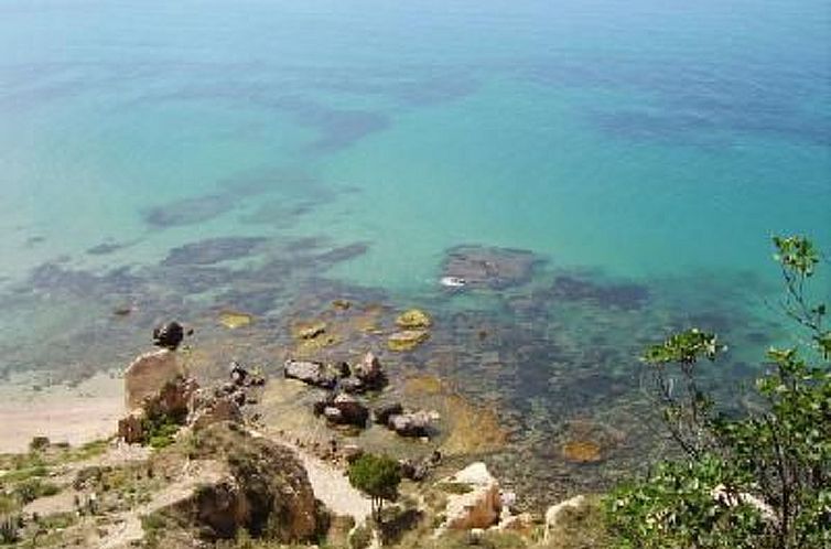 Appartement Tulpe Wohnung