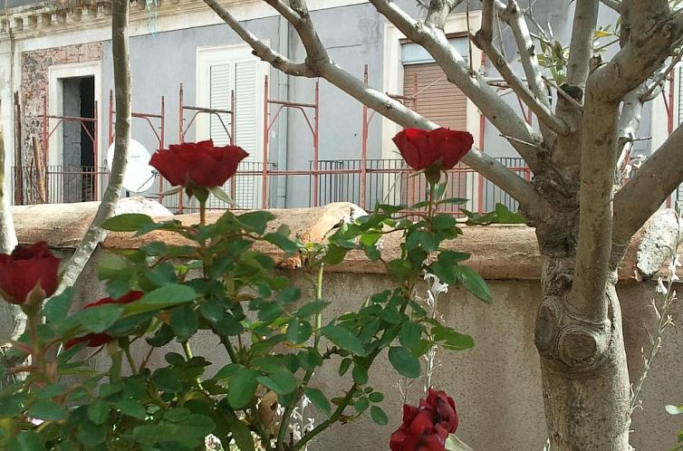 Appartement mit Balkon