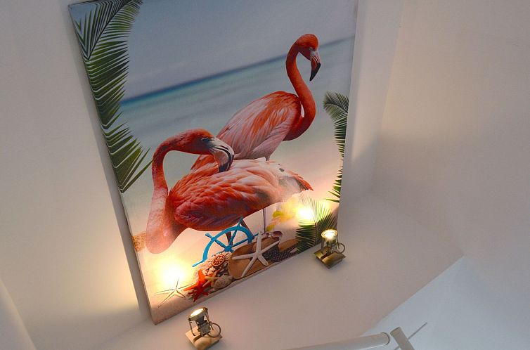Appartement 'Flamingo Spa