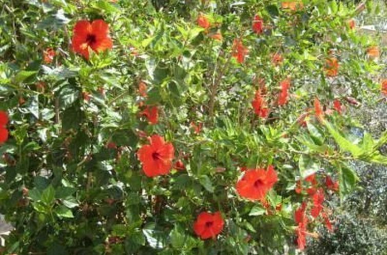 Vakantiehuis 'Mirko'