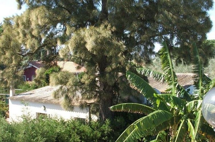 Appartement Appartamento Verde