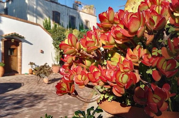 Vakantiehuis für 12 Personen in Syrakus