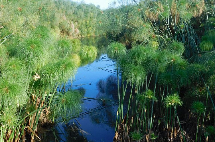 Vakantiehuis Villa dei Papiri - Standardzimmer mit Fenster z