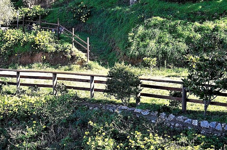 Appartement Granatapfel-Wohnung