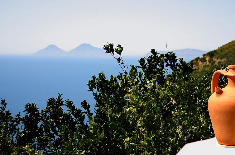 Appartement Orange Wohnung