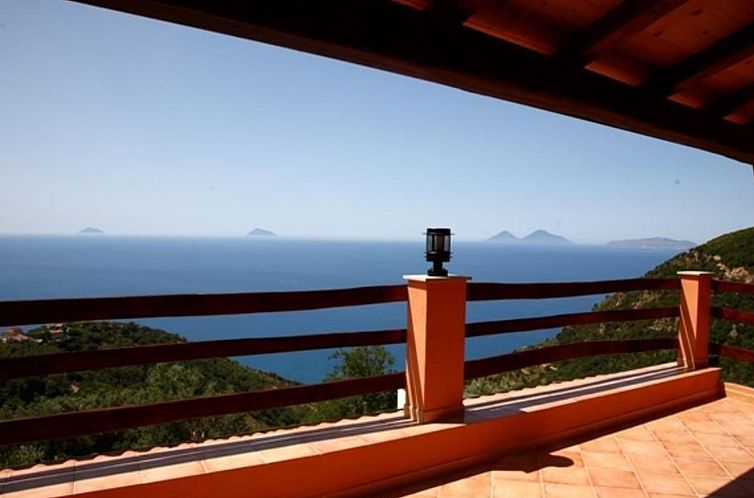 Appartement flacher Kirschbaum