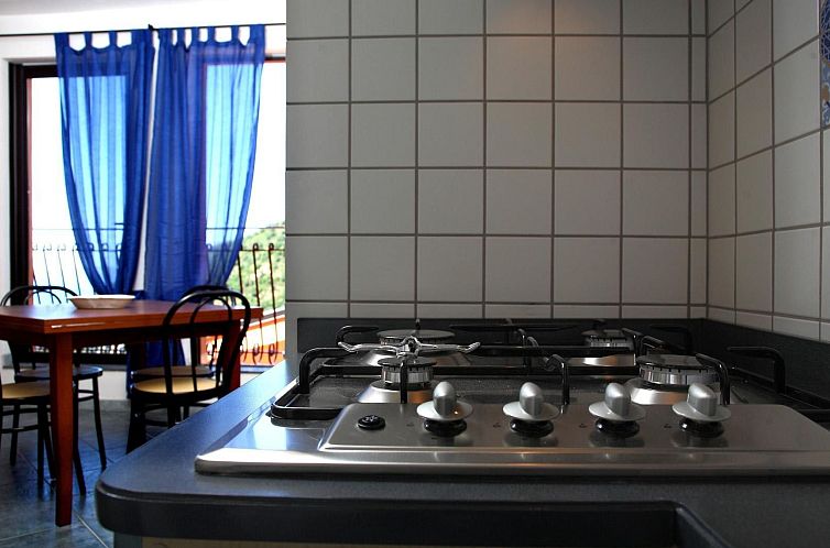 Appartement flacher Kirschbaum